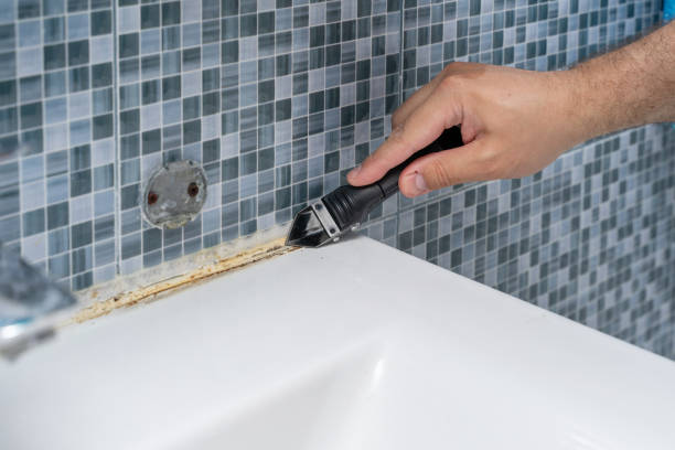 Best Mold Removal Near Me  in Wayzata, MN